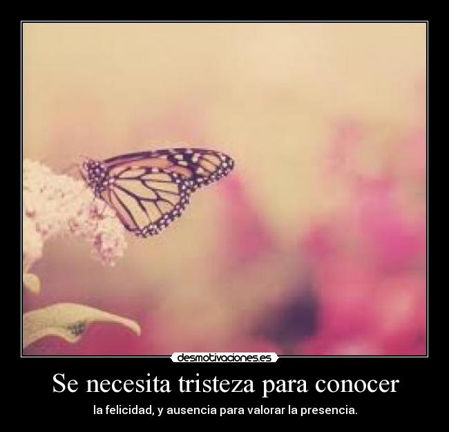 Se necesita tristeza para conocer - la felicidad, y ausencia para valorar la presencia.