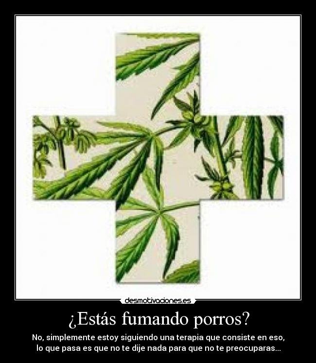 ¿Estás fumando porros? - No, simplemente estoy siguiendo una terapia que consiste en eso,
lo que pasa es que no te dije nada para que no te preocuparas...