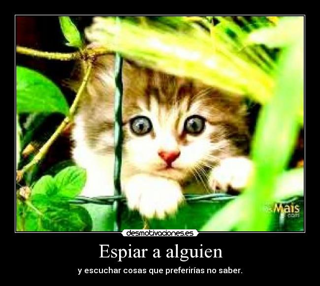 Espiar a alguien - y escuchar cosas que preferirías no saber.