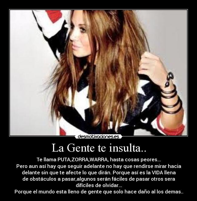 carteles vans desmotivaciones