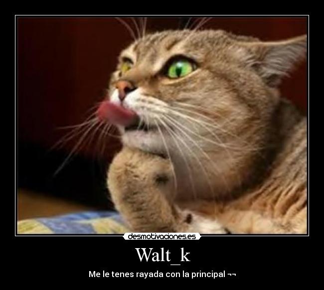 Walt_k -