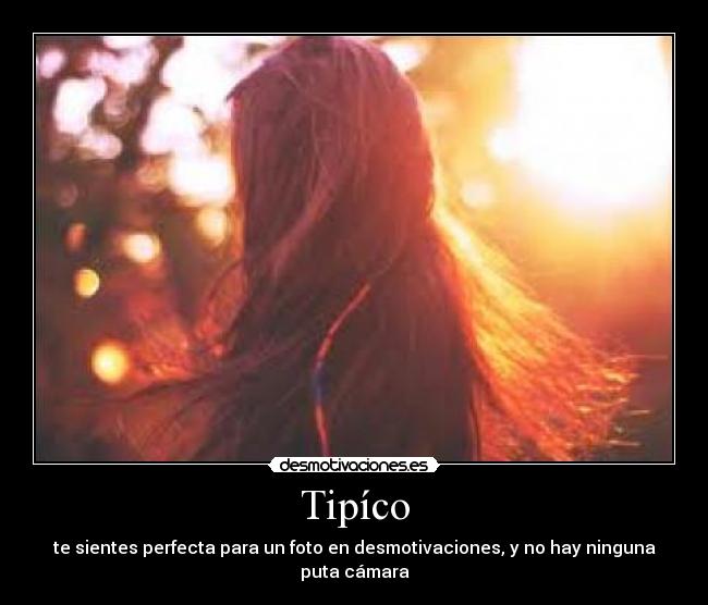 Tipíco - te sientes perfecta para un foto en desmotivaciones, y no hay ninguna puta cámara