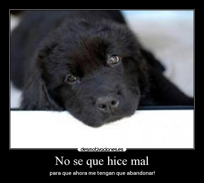 No se que hice mal - 