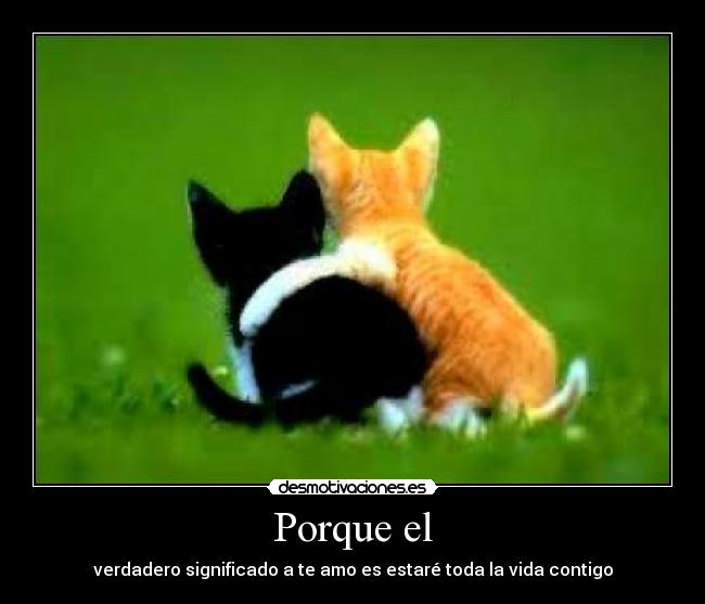 Porque el - verdadero significado a te amo es estaré toda la vida contigo