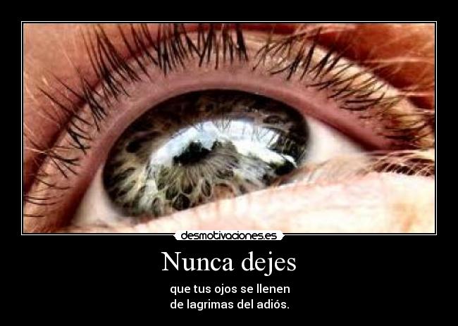 Nunca dejes - 
