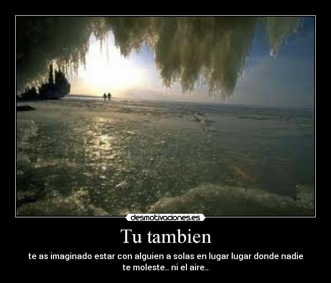 Tu tambien -