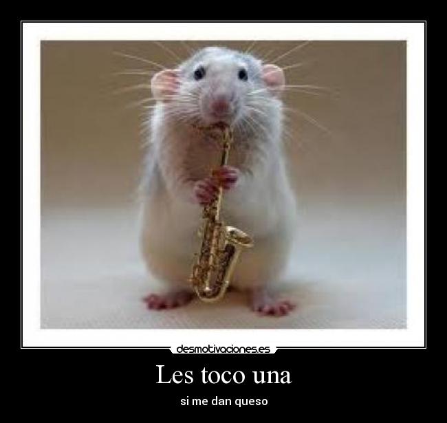 Les toco una - si me dan queso