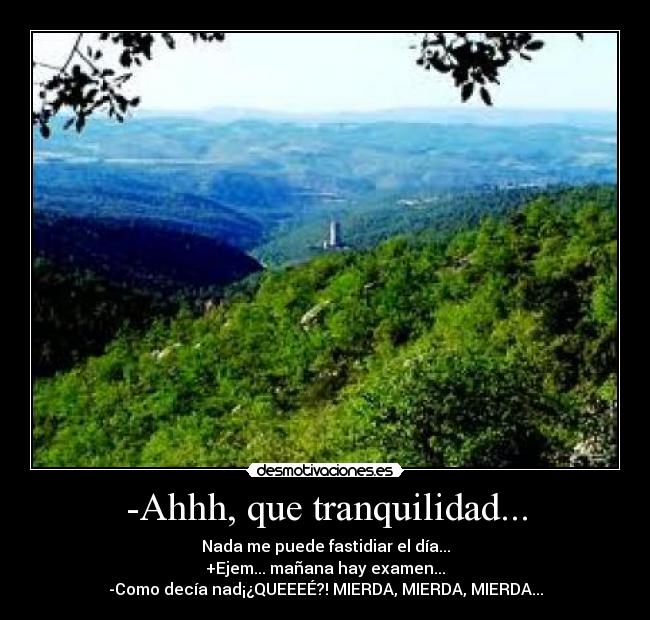 -Ahhh, que tranquilidad... - Nada me puede fastidiar el día...
+Ejem... mañana hay examen...
-Como decía nad¡¿QUEEEÉ?! MIERDA, MIERDA, MIERDA...