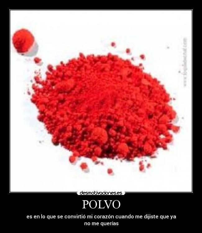 POLVO - 