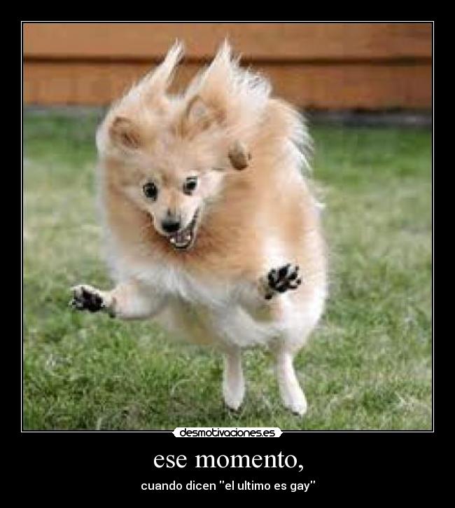 ese momento, - cuando dicen el ultimo es gay