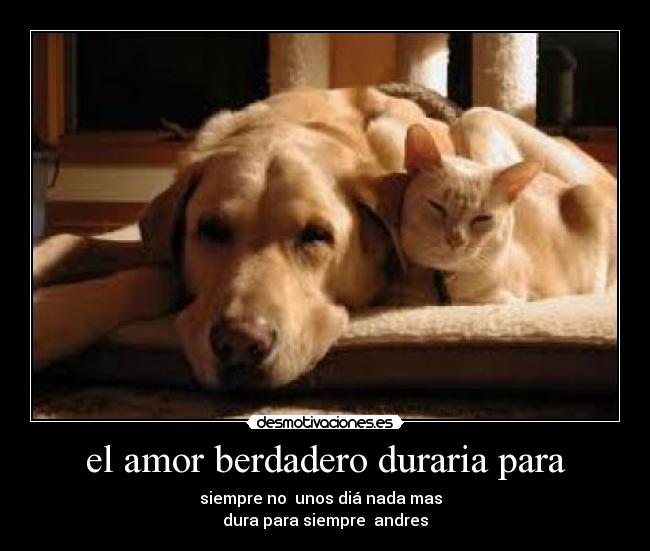 el amor berdadero duraria para - siempre no unos diá nada mas
dura para siempre andres