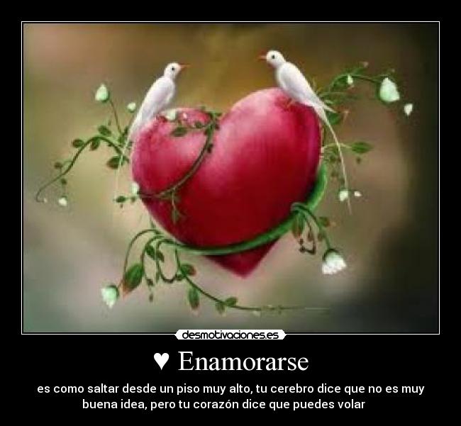 ♥ Enamorarse - 
