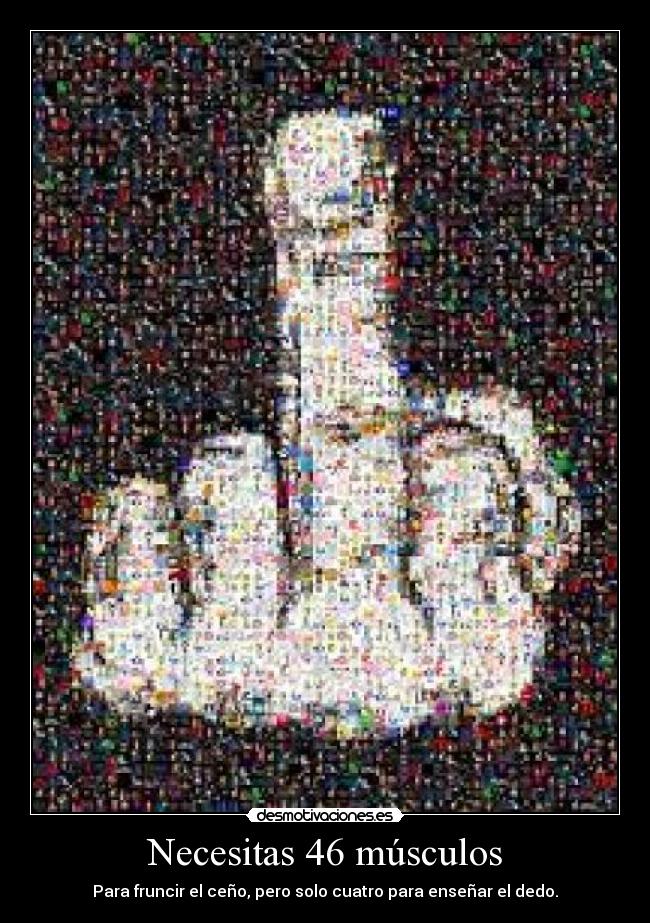 Necesitas 46 músculos - Para fruncir el ceño, pero solo cuatro para enseñar el dedo.