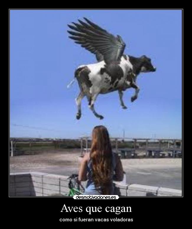 Aves que cagan - como si fueran vacas voladoras