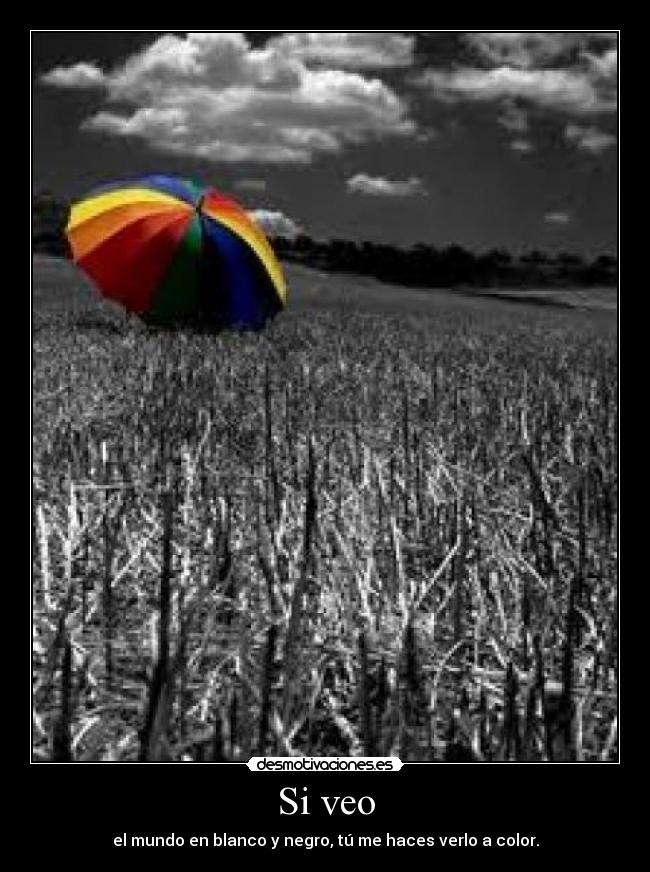 Si veo - el mundo en blanco y negro, tú me haces verlo a color.