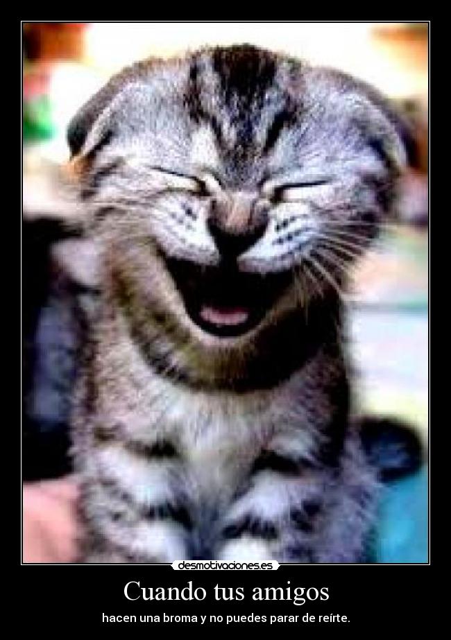 Cuando tus amigos - hacen una broma y no puedes parar de reírte.