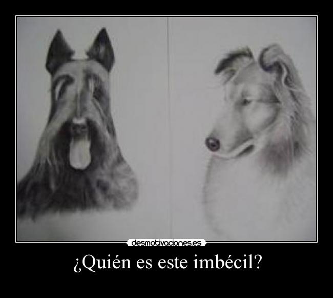 ¿Quién es este imbécil? -
