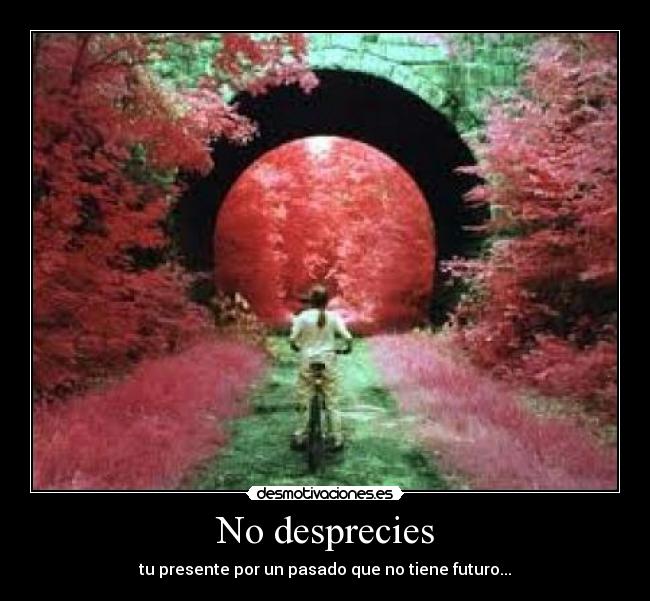 No desprecies - tu presente por un pasado que no tiene futuro...