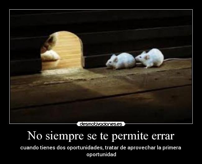 No siempre se te permite errar -