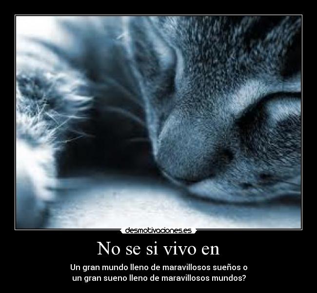 No se si vivo en - Un gran mundo lleno de maravillosos sueños o
un gran sueno lleno de maravillosos mundos?