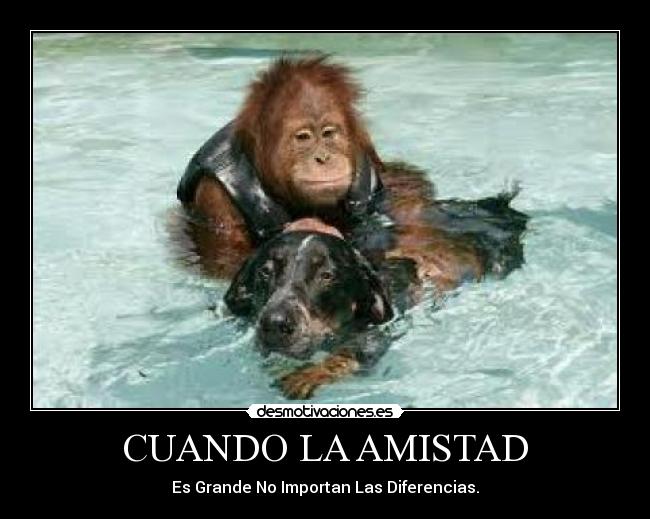 CUANDO LA AMISTAD - 