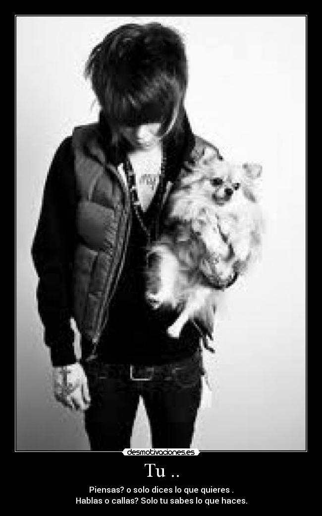 carteles solo desmotivaciones