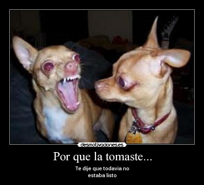 Por que la tomaste... - Te dije que todavia no
estaba listo