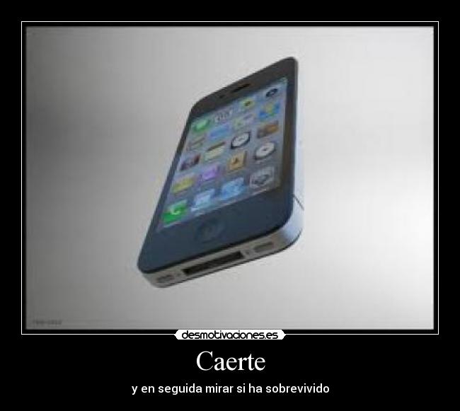 Caerte - y en seguida mirar si ha sobrevivido