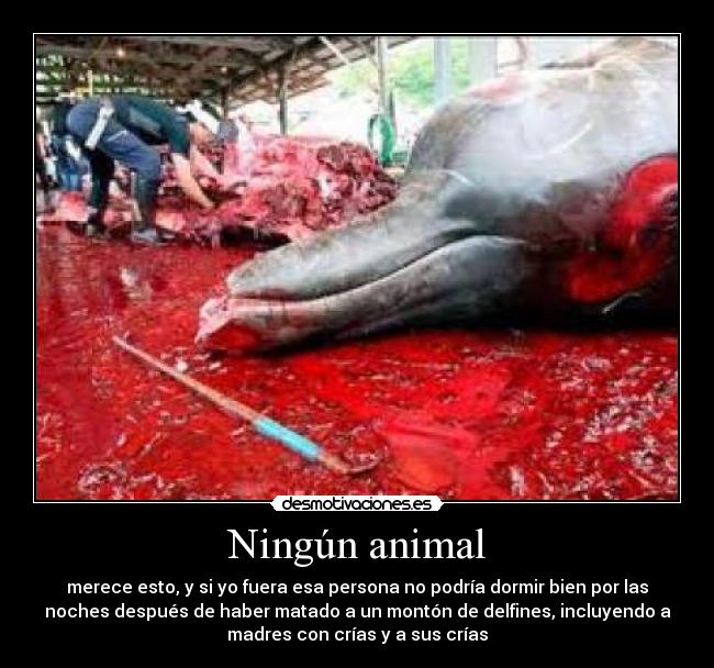 Ningún animal -