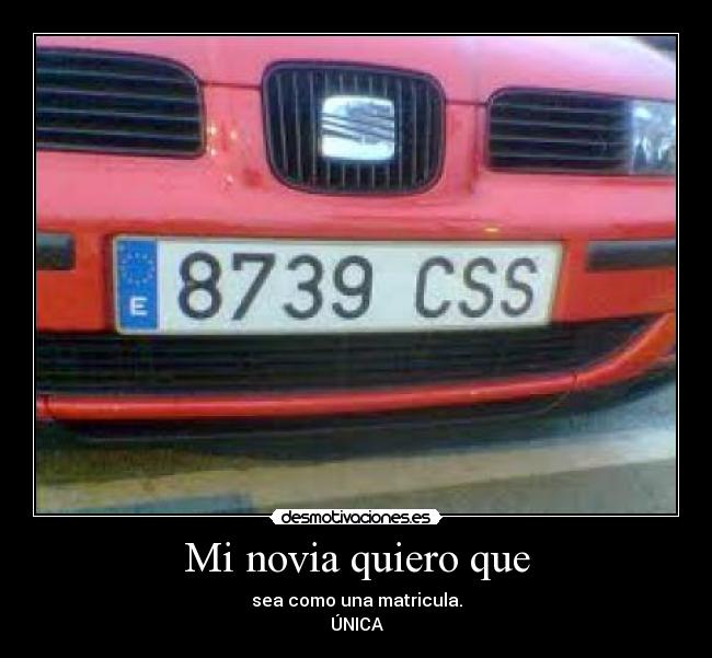 Mi novia quiero que - sea como una matricula.
ÚNICA