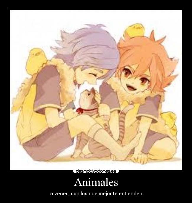 Animales - 
