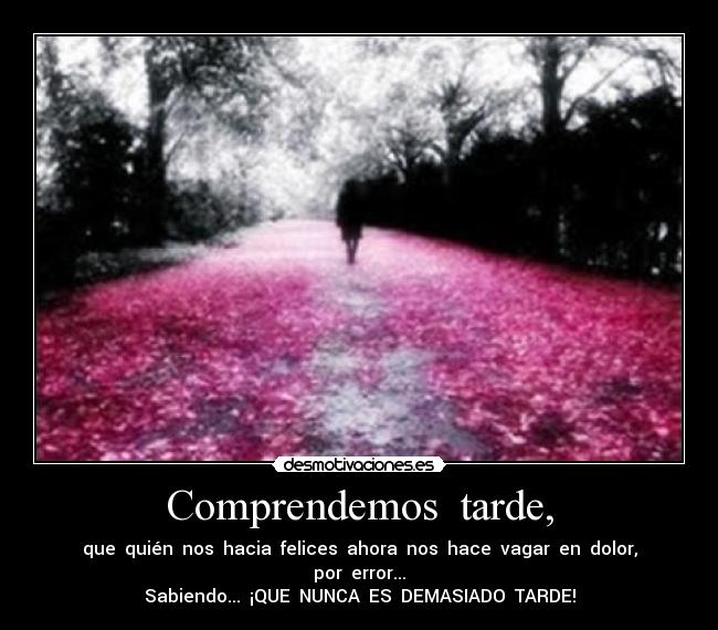 carteles nunca demasiado tarde para nada exceptuando una sola cosa desmotivaciones