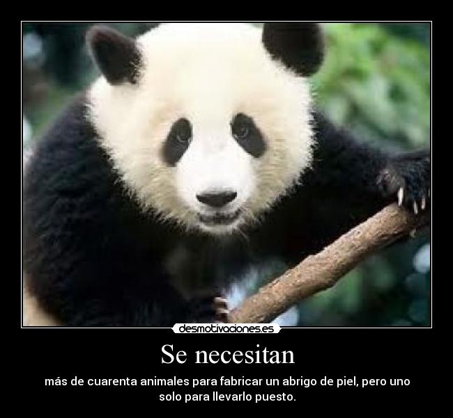 Se necesitan - más de cuarenta animales para fabricar un abrigo de piel, pero uno
solo para llevarlo puesto.