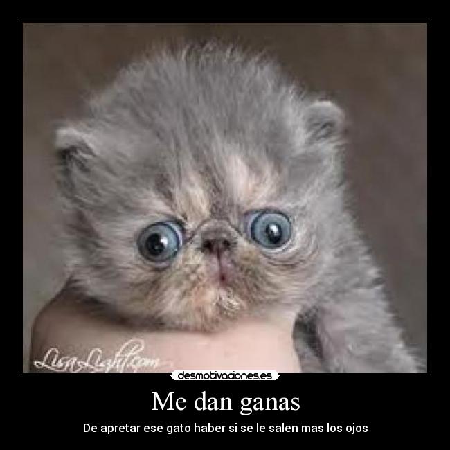 Me dan ganas - De apretar ese gato haber si se le salen mas los ojos