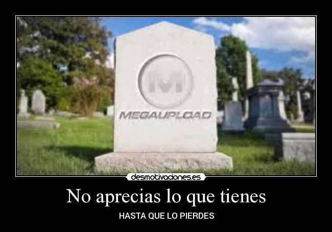 carteles megaupload desmotivaciones