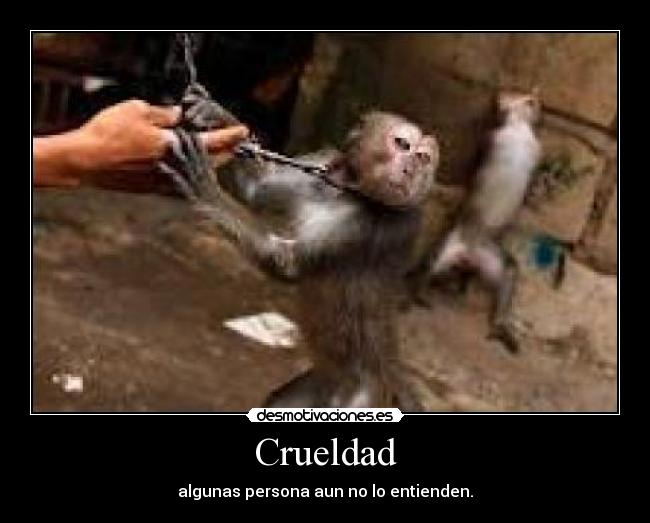 Crueldad -