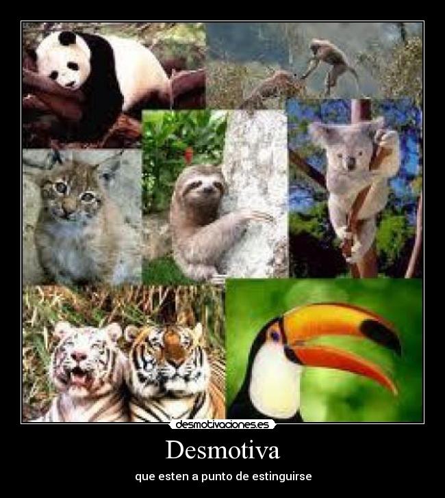 Desmotiva - que esten a punto de estinguirse