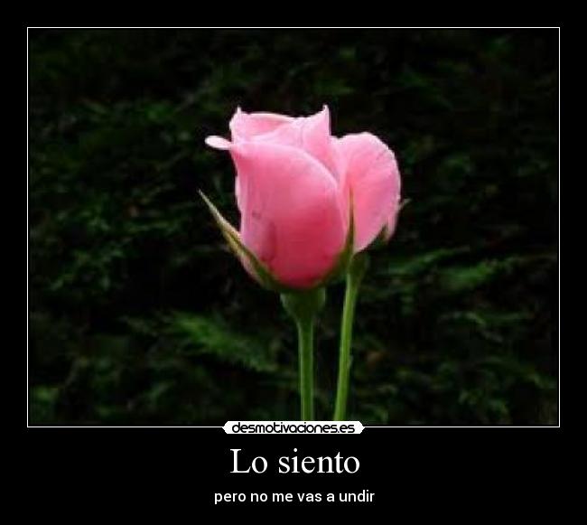 carteles aksdlaks desmotivaciones