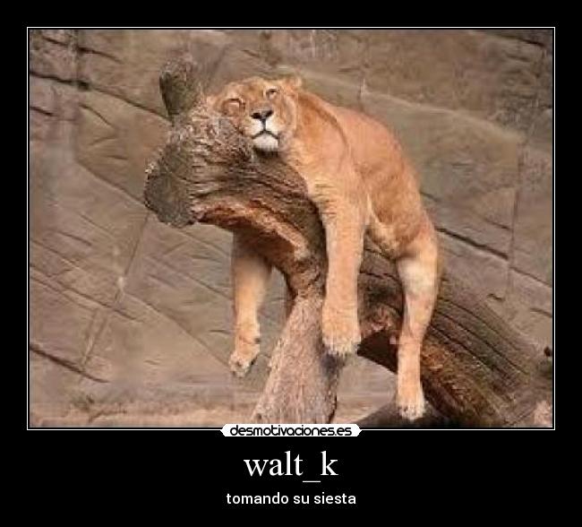 walt_k - tomando su siesta