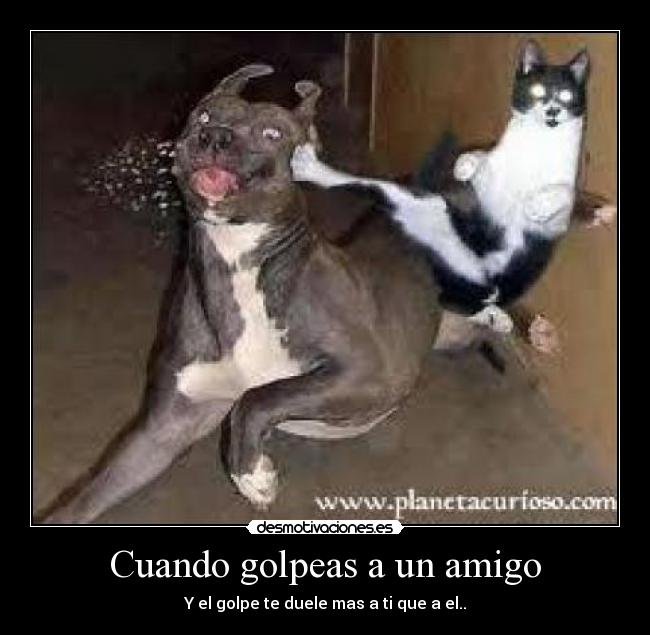 Cuando golpeas a un amigo - Y el golpe te duele mas a ti que a el..