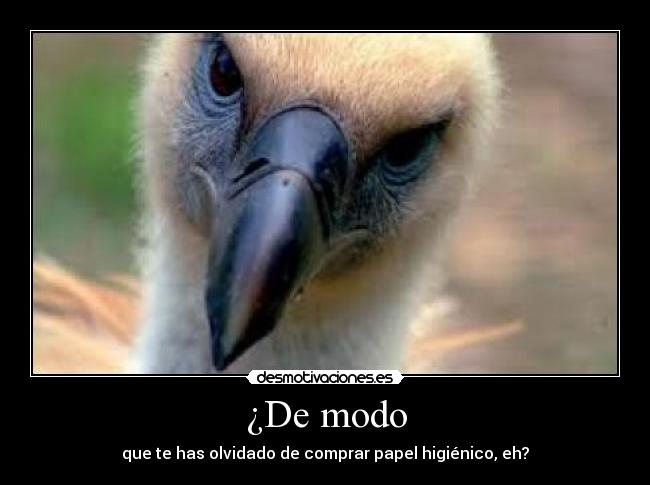 ¿De modo - que te has olvidado de comprar papel higiénico, eh?