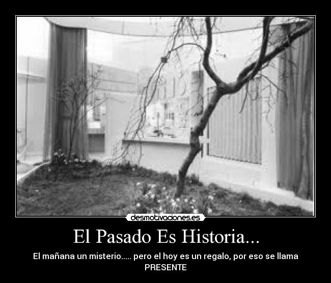 carteles pasado historia natalia diaz daniela lenis moreno gina gallegos rodriguez alex ramos desmotivaciones