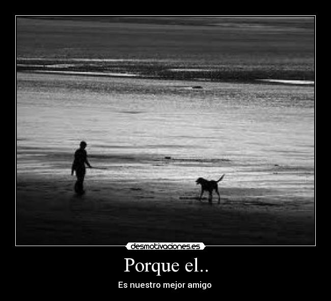 carteles sofia desmotivaciones