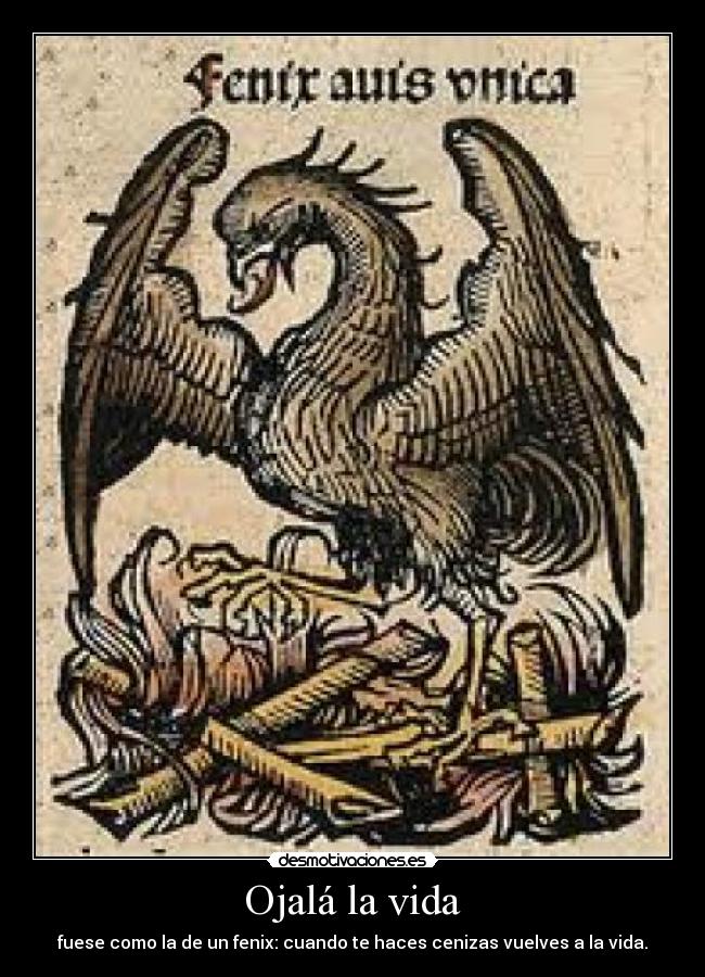 Ojalá la vida - fuese como la de un fenix: cuando te haces cenizas vuelves a la vida.