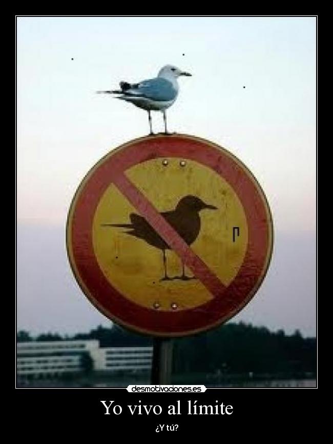 Yo vivo al límite - ¿Y tú?