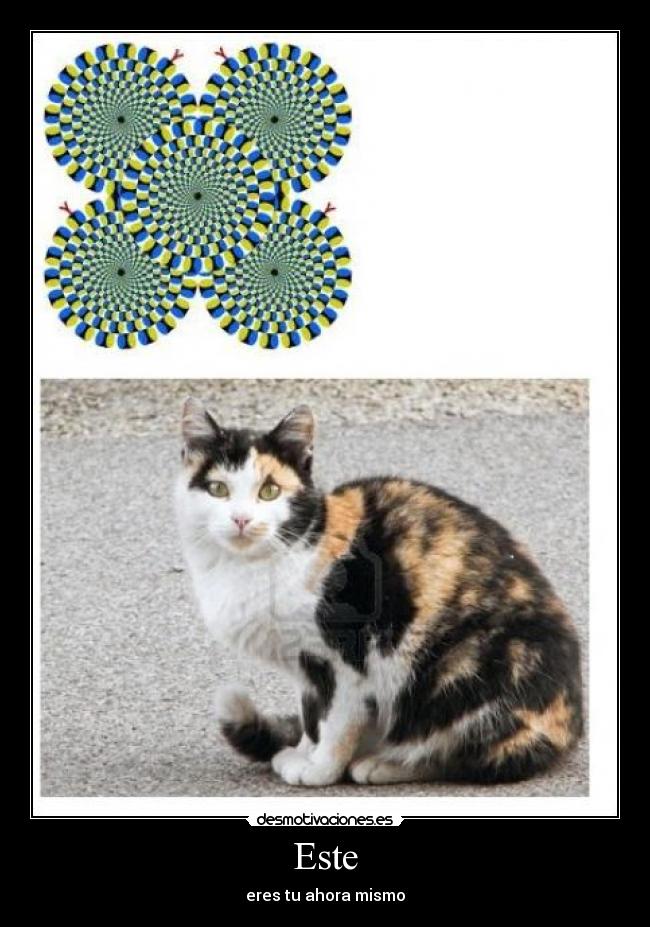 Este - eres tu ahora mismo