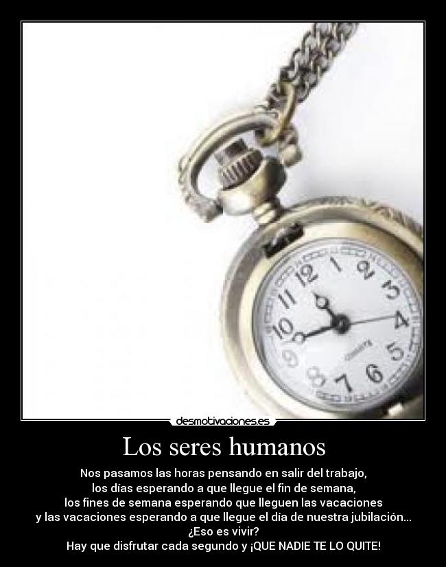 Los seres humanos - 
