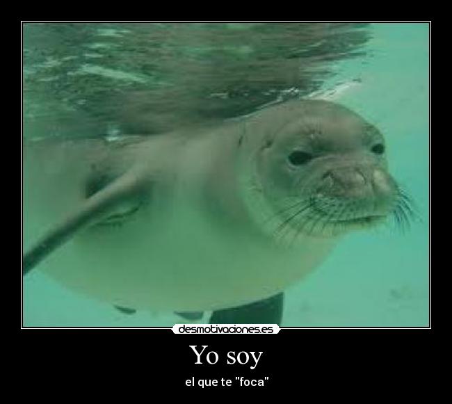 Yo soy - 