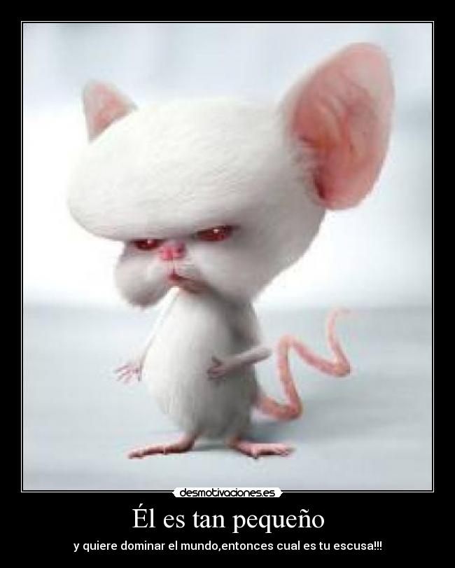 Él es tan pequeño - y quiere dominar el mundo,entonces cual es tu escusa!!!