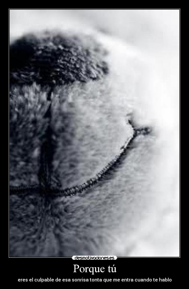 carteles alskjdoas desmotivaciones